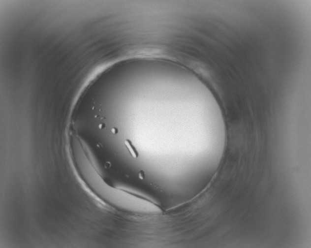 X0000054451432200508121859
