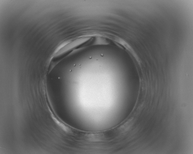 X0000054451433200508121859