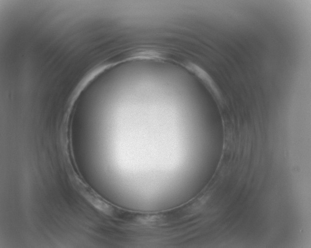 X0000054451435200508121859