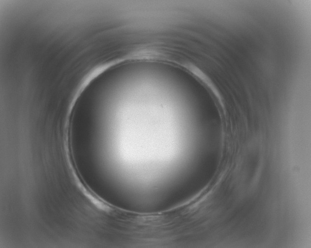 X0000054451437200508121859