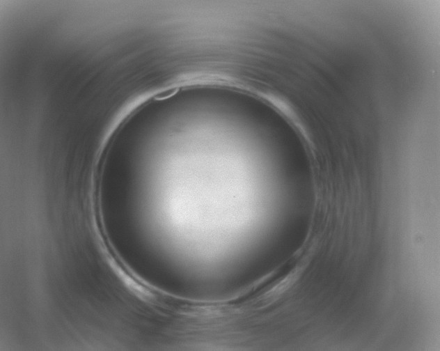 X0000054451438200508121859