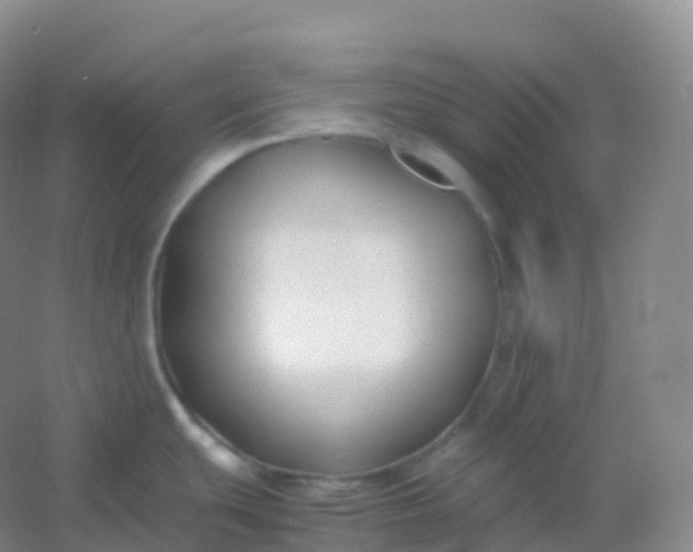 X0000054451439200508121859