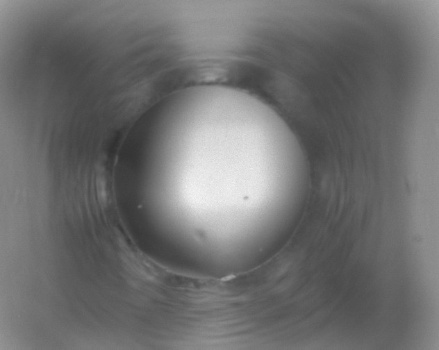 X0000054451442200508121858