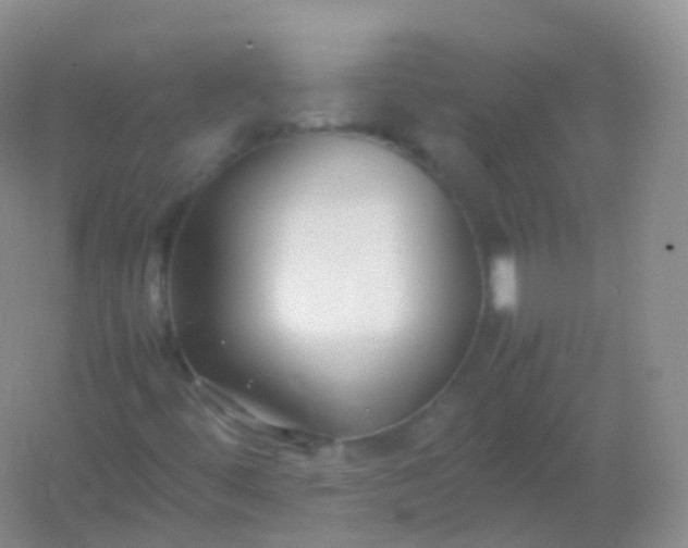 X0000054451444200508121858