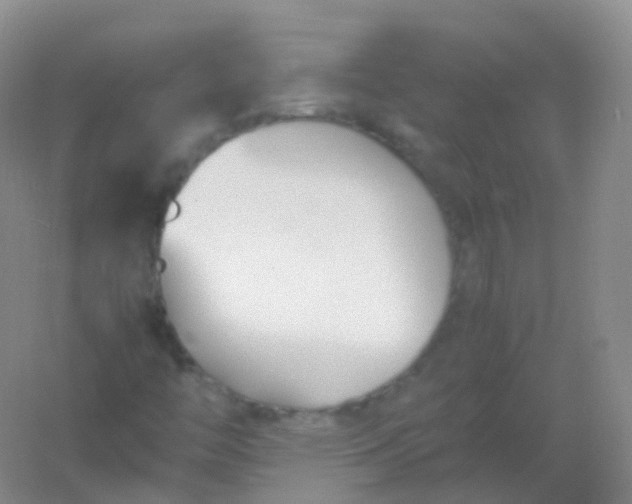 X0000054451446200508121858