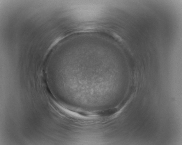 X0000054451449200508121858