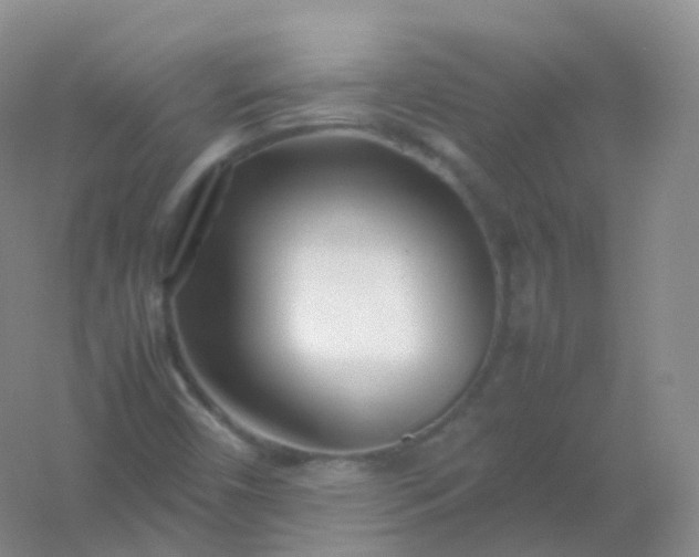 X0000054451450200508121858