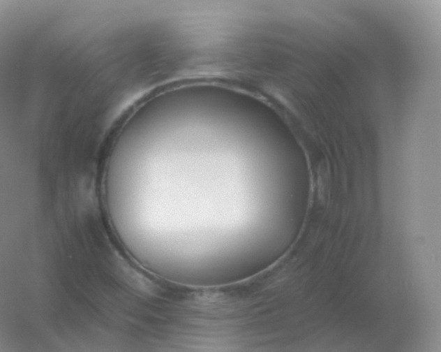 X0000054451452200508121858