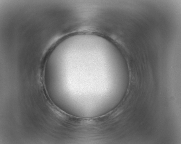 X0000054451454200508121858