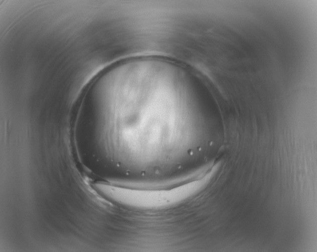 X0000054451460200508121858