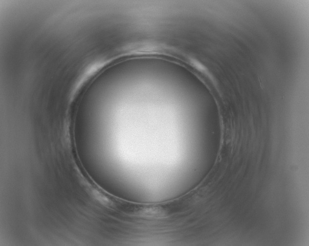 X0000054451464200508121858
