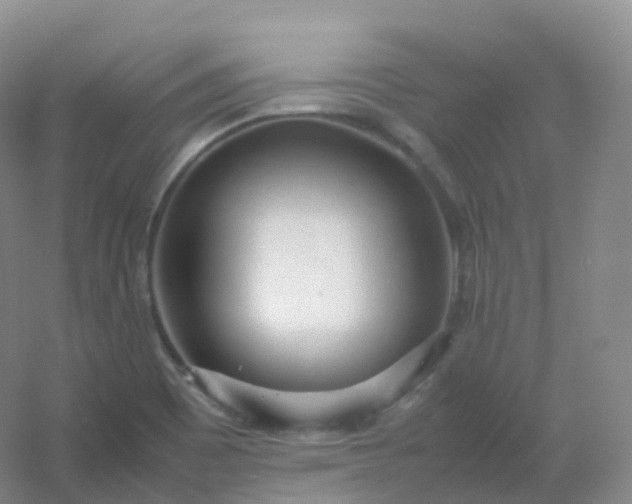 X0000054451465200508121858