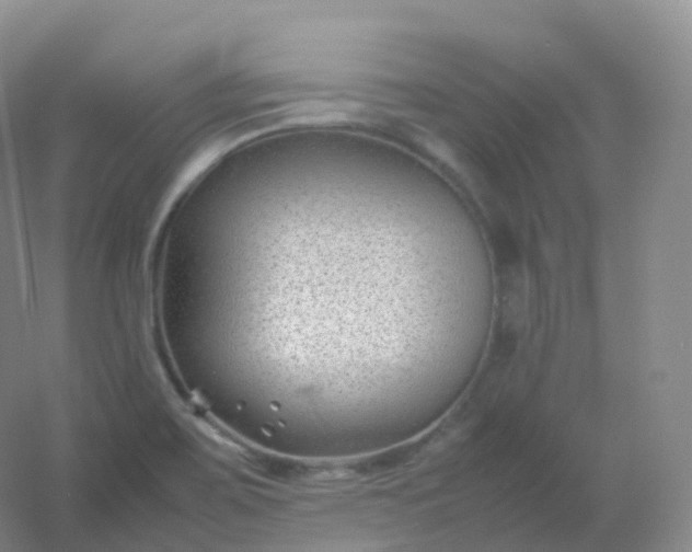 X0000054451467200508121858