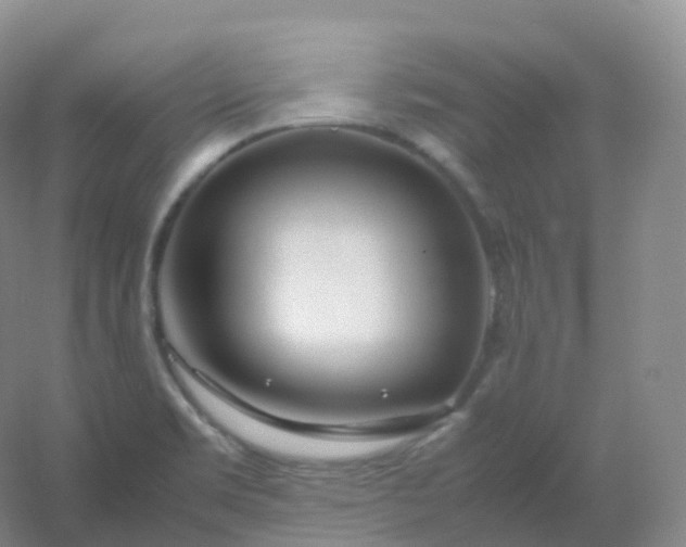 X0000054451469200508121858