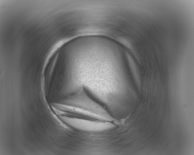 X0000054451472200508121858