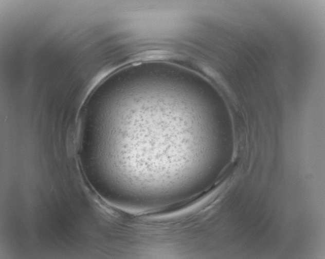 X0000054451473200508121858