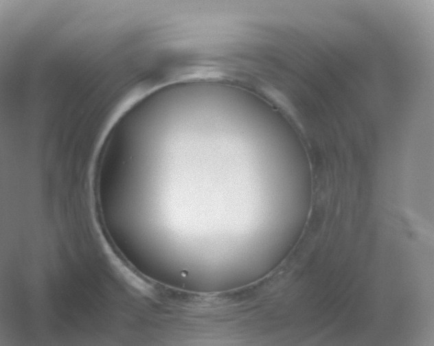 X0000054451475200508121858