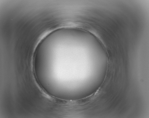 X0000054451477200508121858