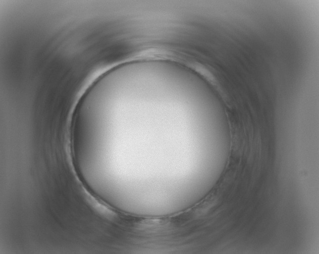 X0000054451478200508121858