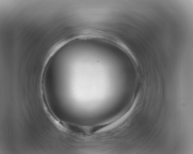 X0000054451485200508121858