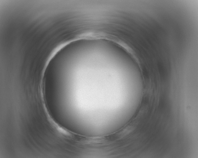 X0000054451486200508121858