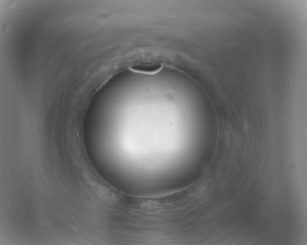 X0000054451489200508121857