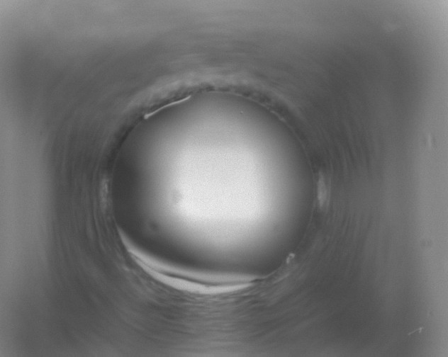 X0000054451492200508121857