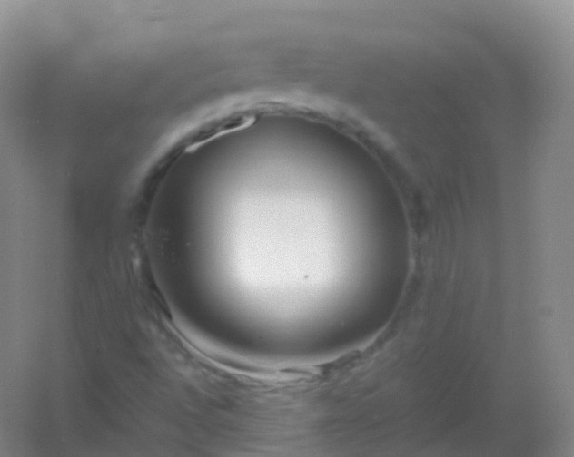 X0000054451496200508121857