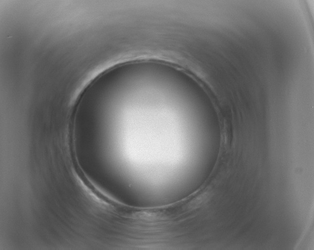X0000054451500200508121857