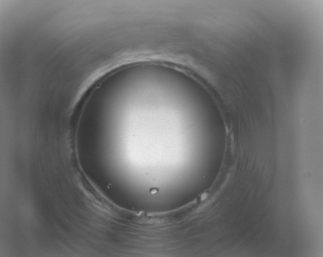 X0000054451501200508121857