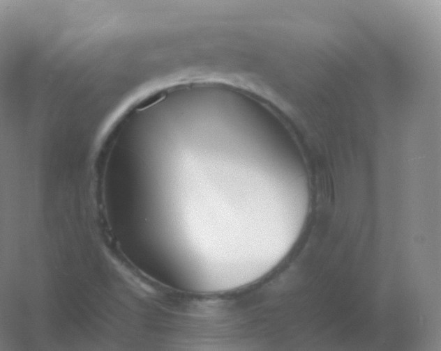 X0000054451502200508121857