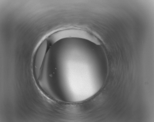X0000054451508200508121857