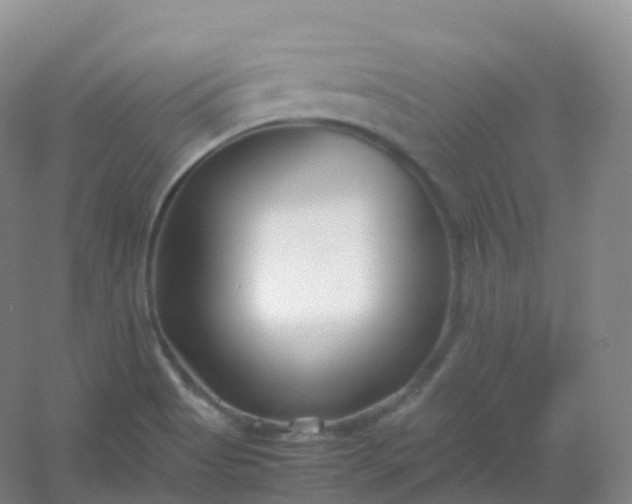 X0000054451513200508121857