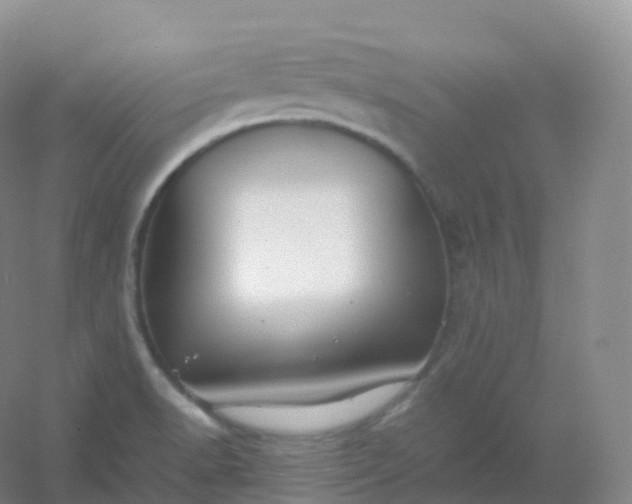 X0000054451518200508121857