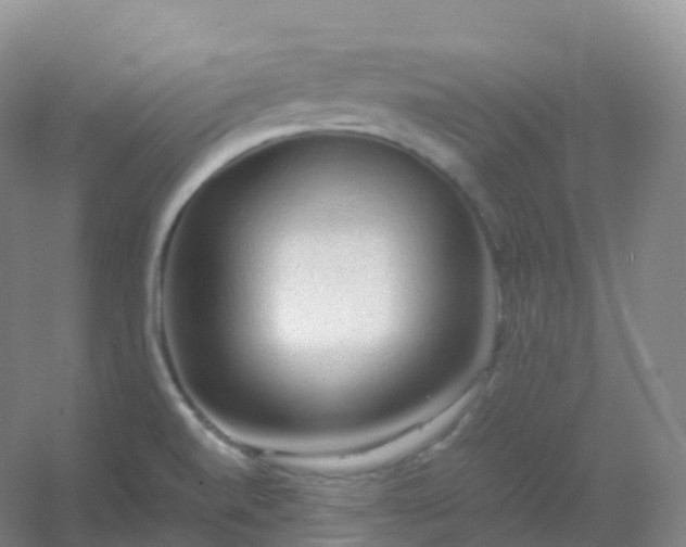 X0000054451520200508121857