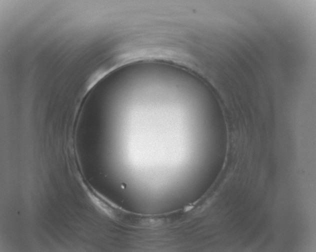 X0000054451521200508121857