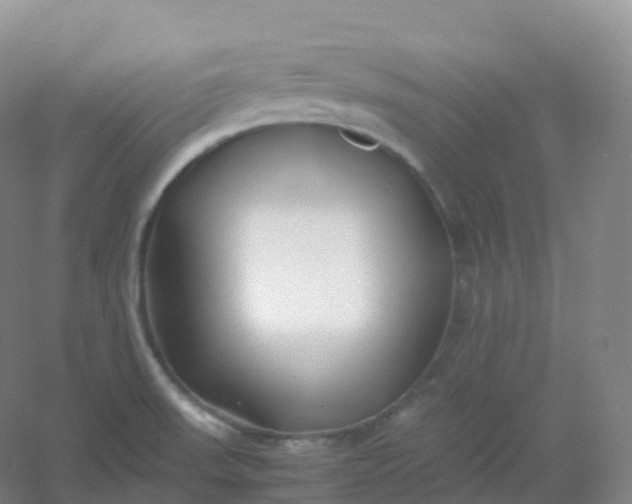 X0000054451523200508121857