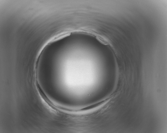 X0000054451524200508121857