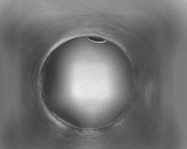 X0000054451526200508121857
