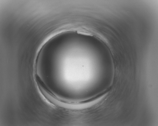 X0000054451528200508121857