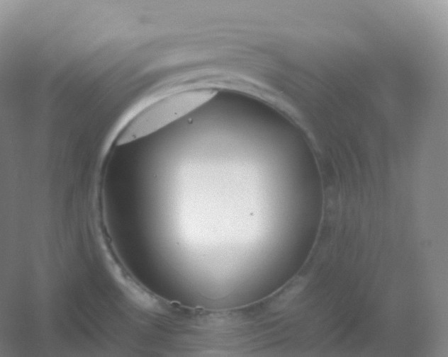X0000054451530200508121857
