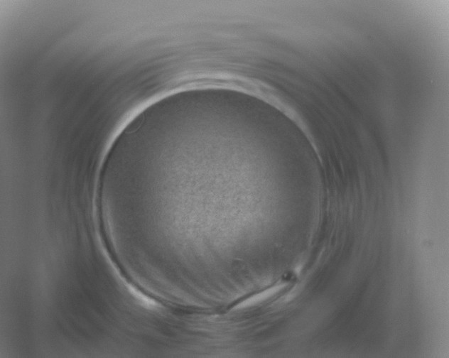 X0000054451533200508121857