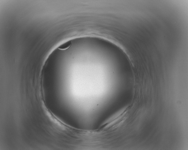 X0000054451534200508121857