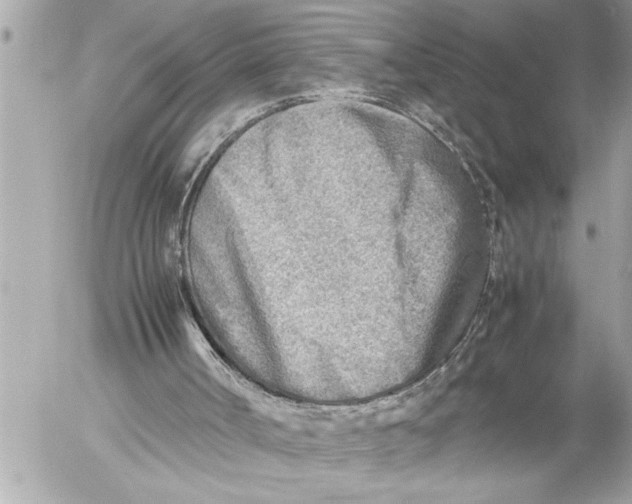 X0000054450002200508191649