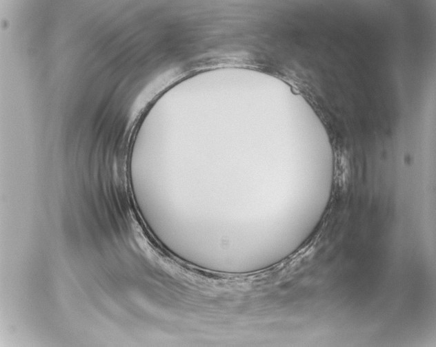 X0000054450004200508191648