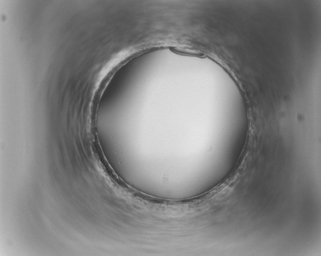 X0000054450008200508191648