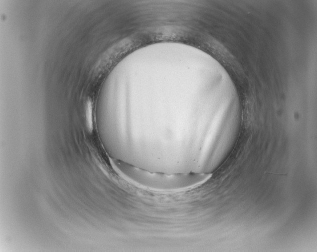X0000054450022200508191648