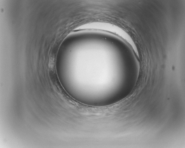 X0000054450033200508191648