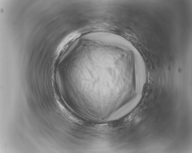 X0000054450054200508191647