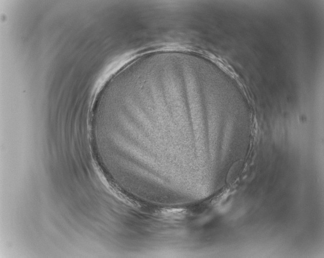 X0000054450055200508191647